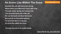 ANDREW BLAKEMORE - An Acorn Lies Within The Snow