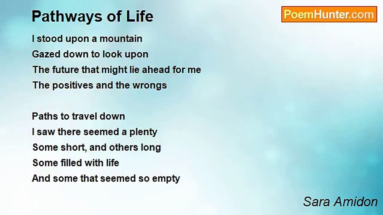 Sara Amidon - Pathways of Life