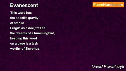 David Kowalczyk - Evanescent