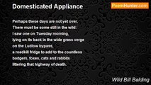Wild Bill Balding - Domesticated Appliance
