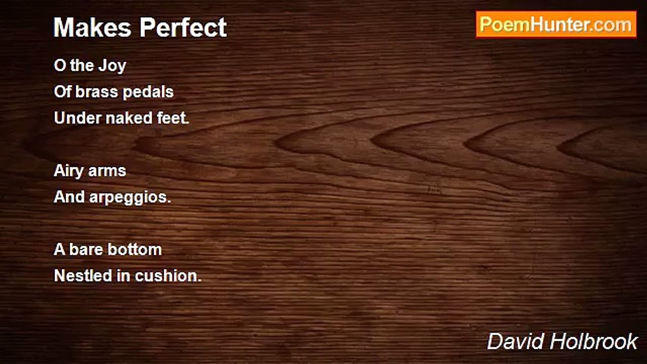 David Holbrook - Makes Perfect