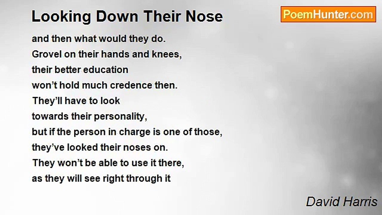 David Harris - Looking Down Their Nose