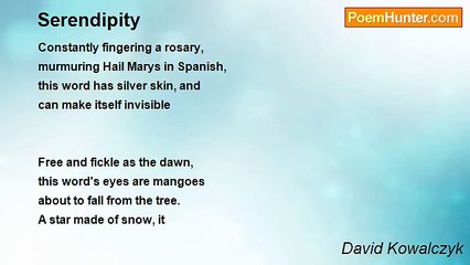 David Kowalczyk - Serendipity