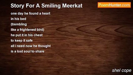 shel cope - Story For A Smiling Meerkat