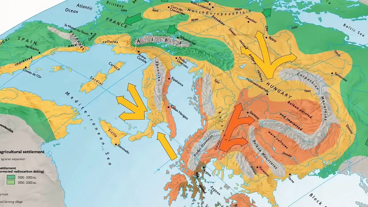 Aspects of Archaeology  Archaeozoology