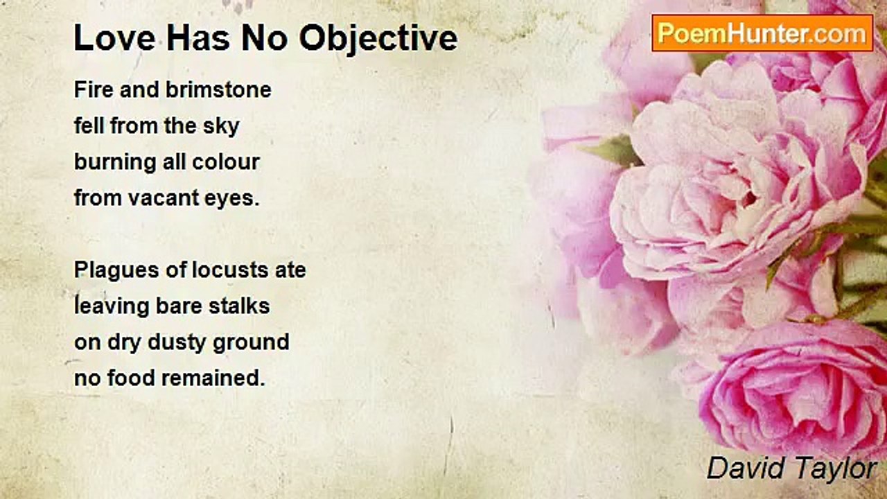 David Taylor - Love Has No Objective