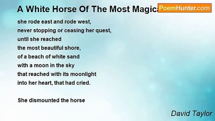 David Taylor - A White Horse Of The Most Magical Kind