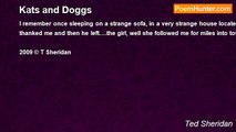 Ted Sheridan - Kats and Doggs