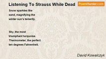 David Kowalczyk - Listening To Strauss While Dead
