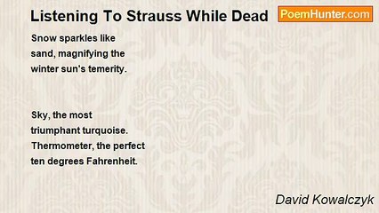 David Kowalczyk - Listening To Strauss While Dead