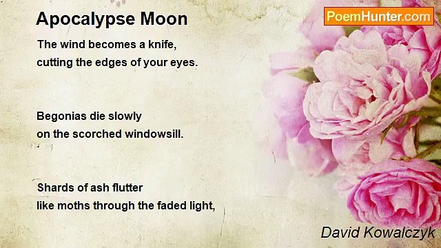 David Kowalczyk - Apocalypse Moon