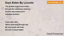 David Kowalczyk - Days Eaten By Locusts