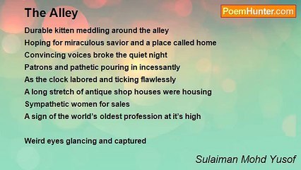 Sulaiman Mohd Yusof - The Alley