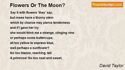 David Taylor - Flowers Or The Moon?