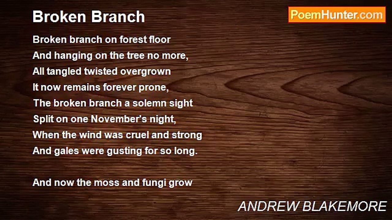 ANDREW BLAKEMORE - Broken Branch