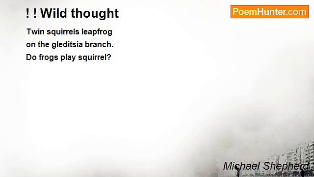 Michael Shepherd - ! ! Wild thought