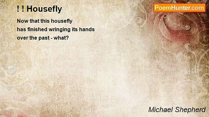 Michael Shepherd - ! ! Housefly