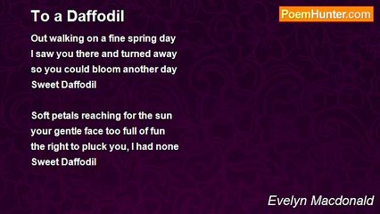 Evelyn Macdonald - To a Daffodil