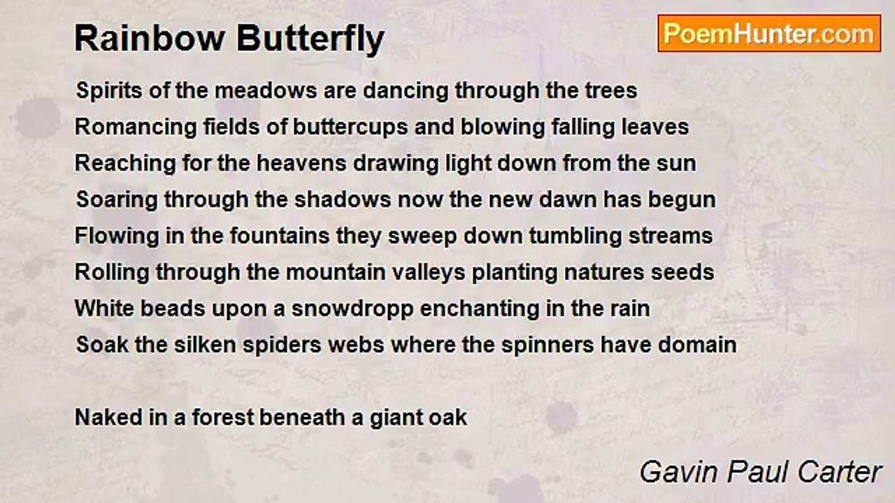 Gavin Paul Carter - Rainbow Butterfly