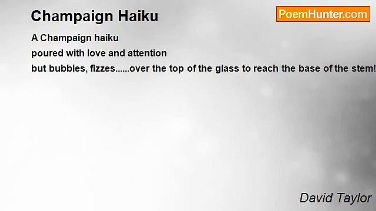 David Taylor - Champaign Haiku
