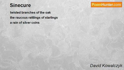 David Kowalczyk - Sinecure