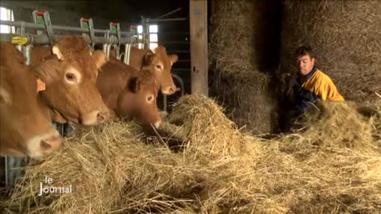 Agriculture : Les réglementations sources de difficultés
