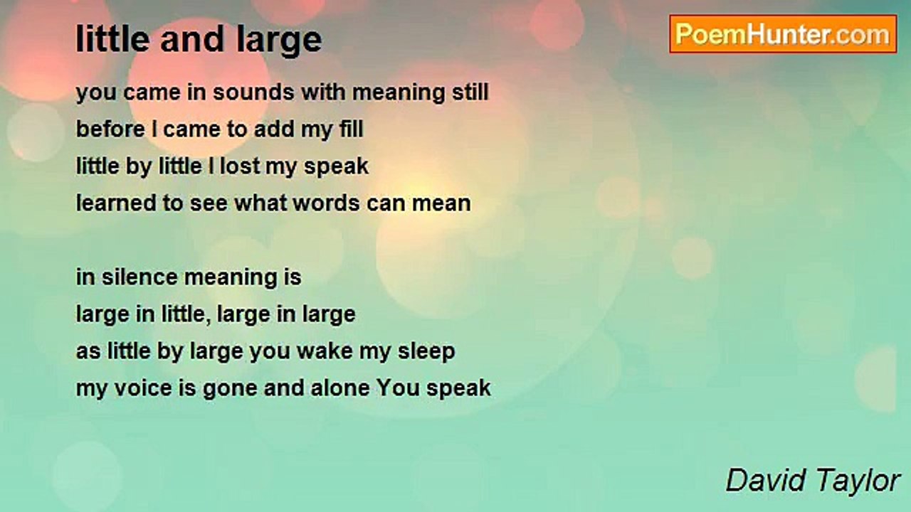 David Taylor - little and large