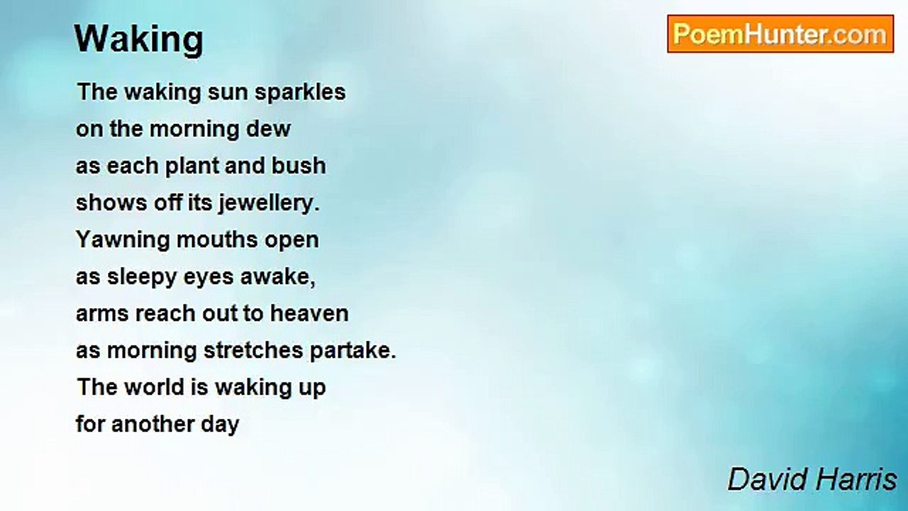 David Harris - Waking