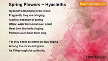 Mary Havran - Spring Flowers ~ Hyacinths