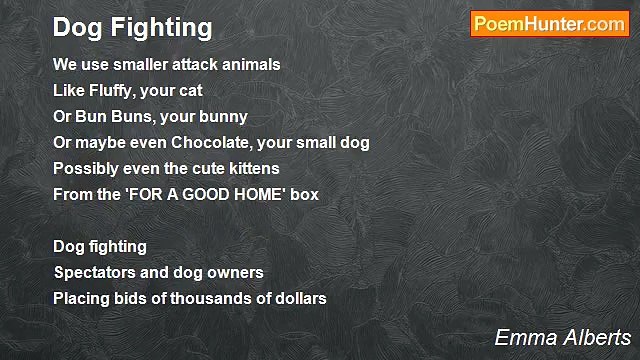 Emma Alberts - Dog Fighting