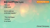 Dónall Dempsey - BIG HAPPY(for Lyn)