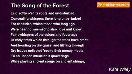 Kate Wiley - The Song of the Forest