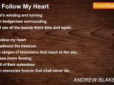 ANDREW BLAKEMORE - I'll Follow My Heart
