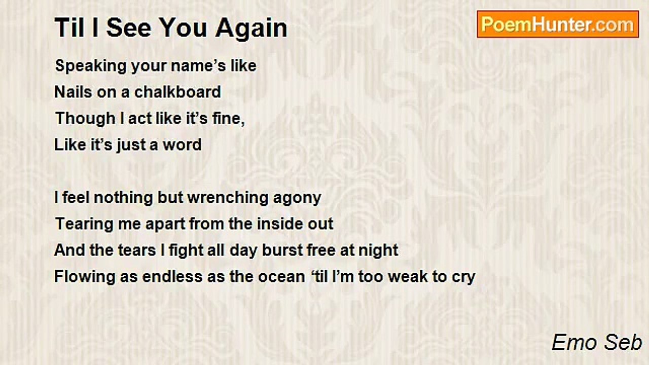 Emo Seb - Til I See You Again