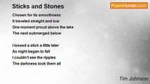 Tim Johnson - Sticks and Stones