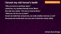 nimal dunuhinga - I brush my old horse's teeth