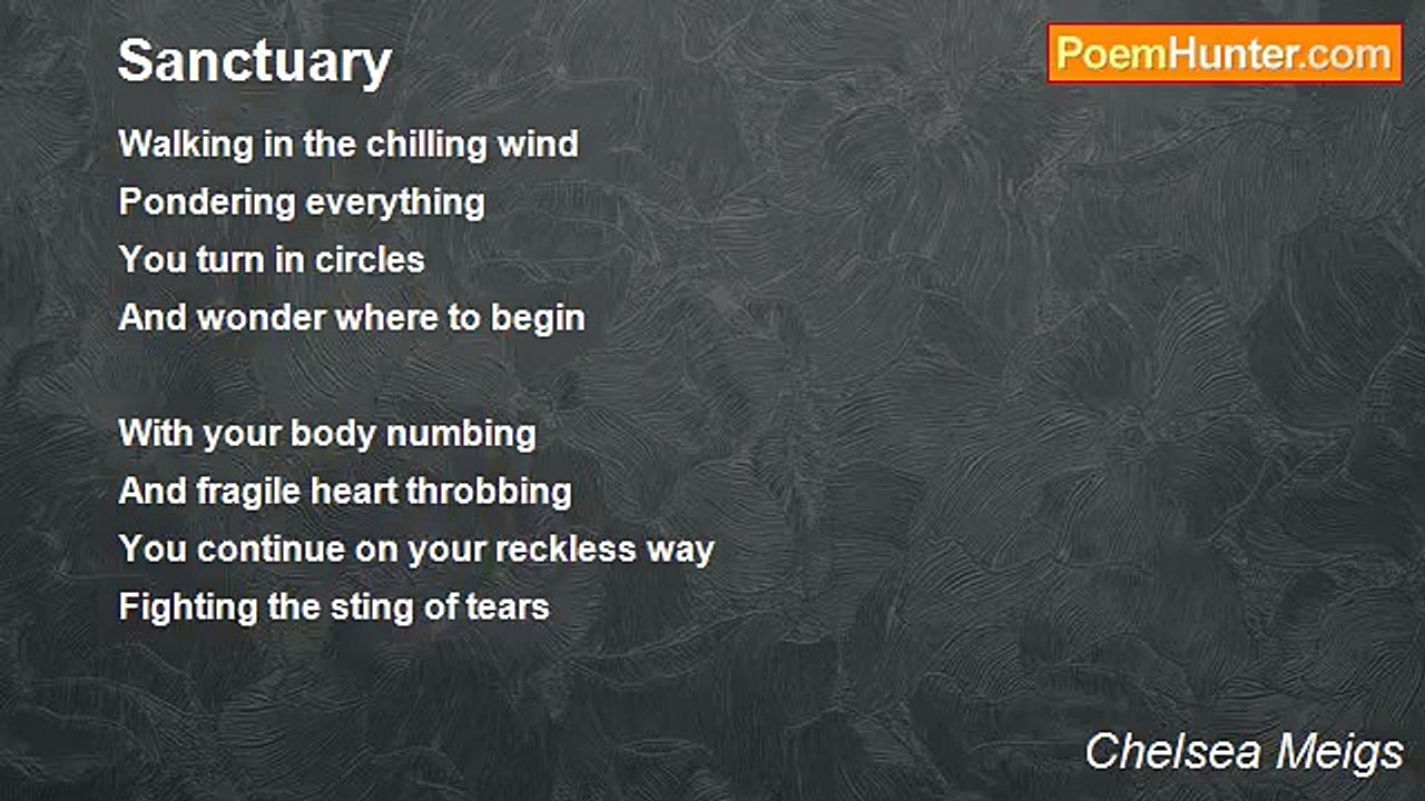 Chelsea Meigs - Sanctuary