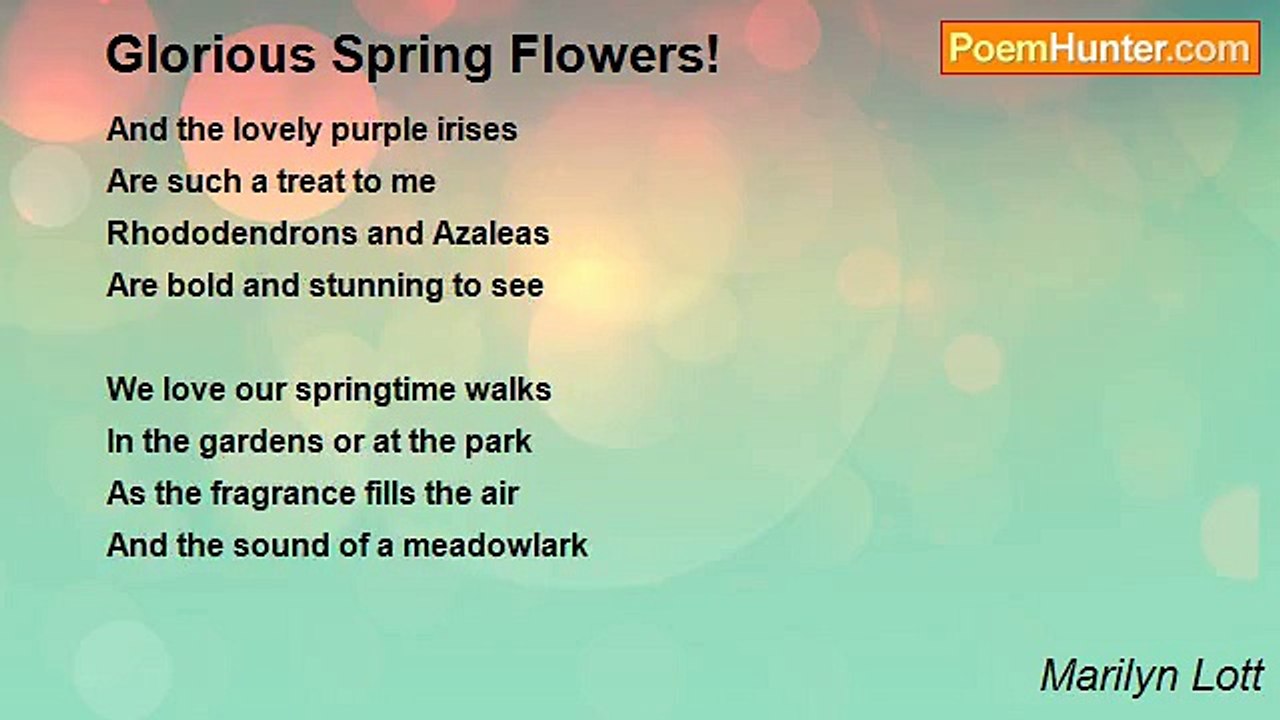 Marilyn Lott - Glorious Spring Flowers!