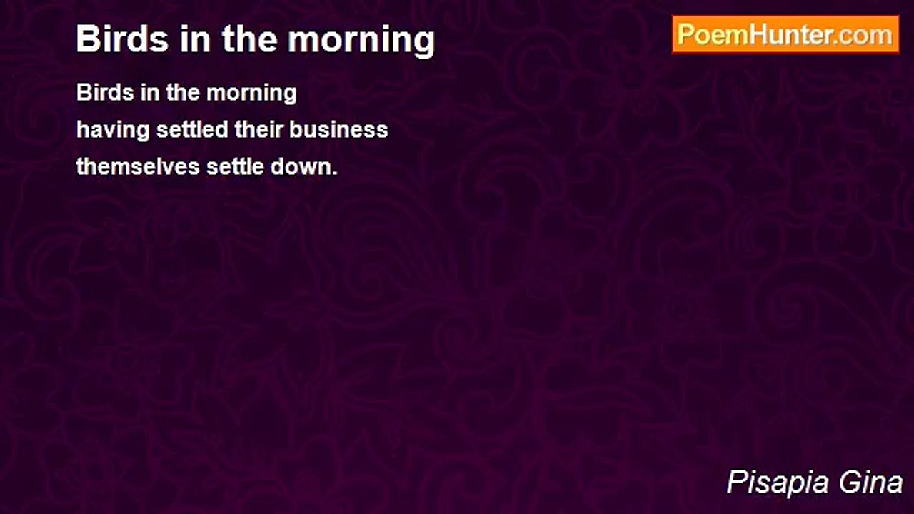 Pisapia Gina - Birds in the morning