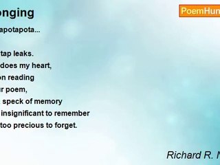 Richard R. Navarro - Longing