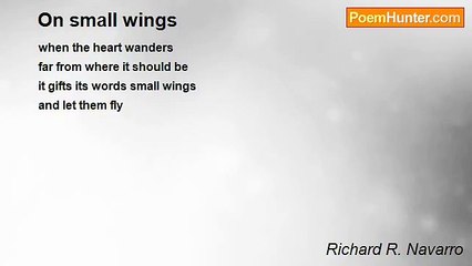 Richard R. Navarro - On small wings