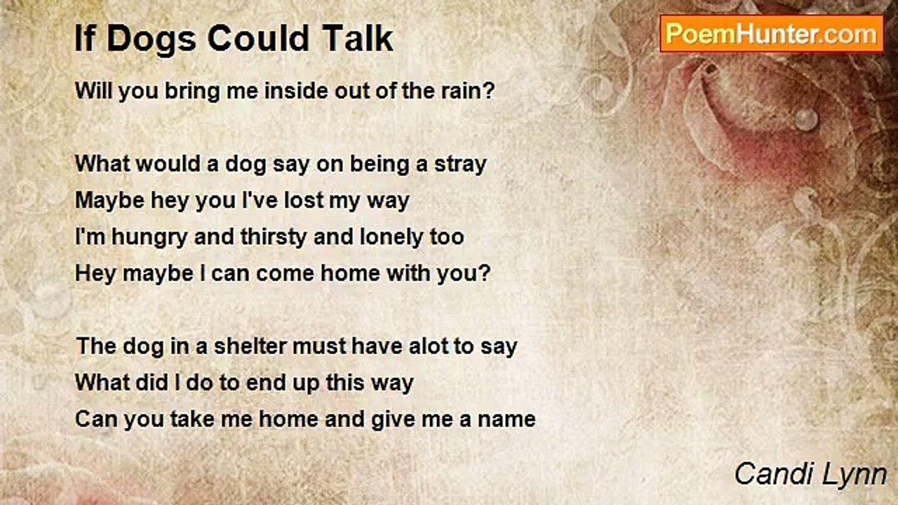 Candi Lynn - If Dogs Could Talk