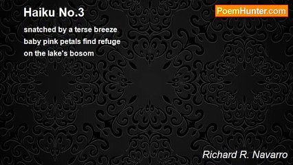 Richard R. Navarro - Haiku No.3