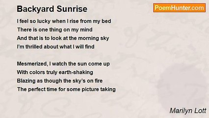 Marilyn Lott - Backyard Sunrise