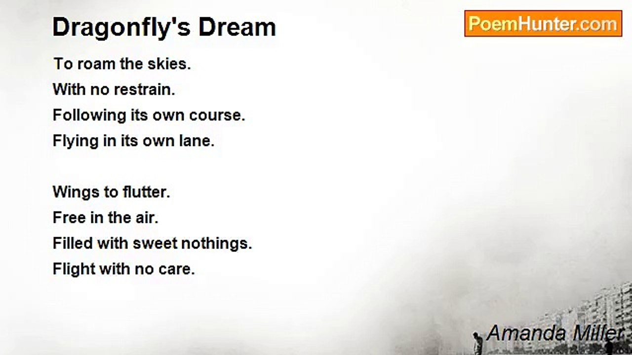 Amanda Miller - Dragonfly's Dream