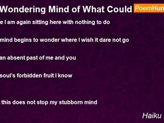 Haiku Mitchell - A Wondering Mind of What Could Have Been