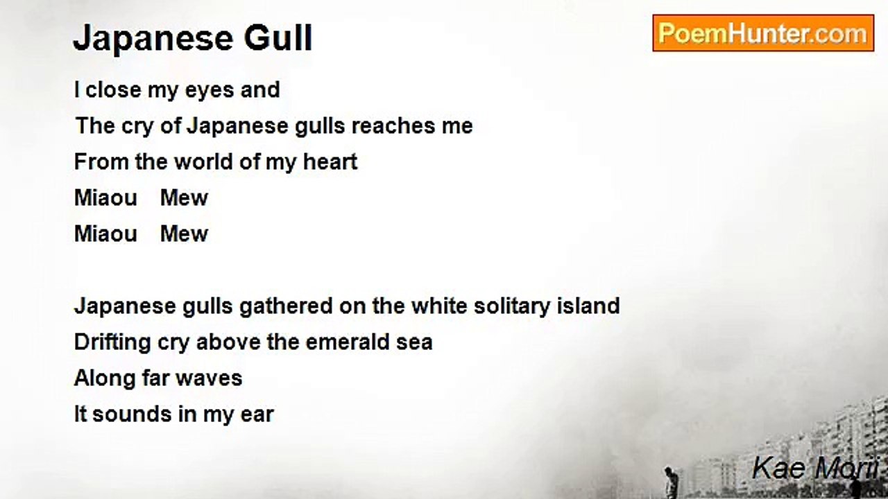 Kae Morii - Japanese Gull
