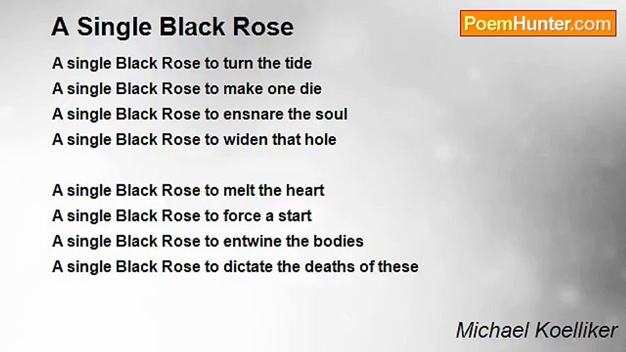 Michael Koelliker - A Single Black Rose