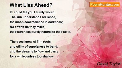 David Taylor - What Lies Ahead?