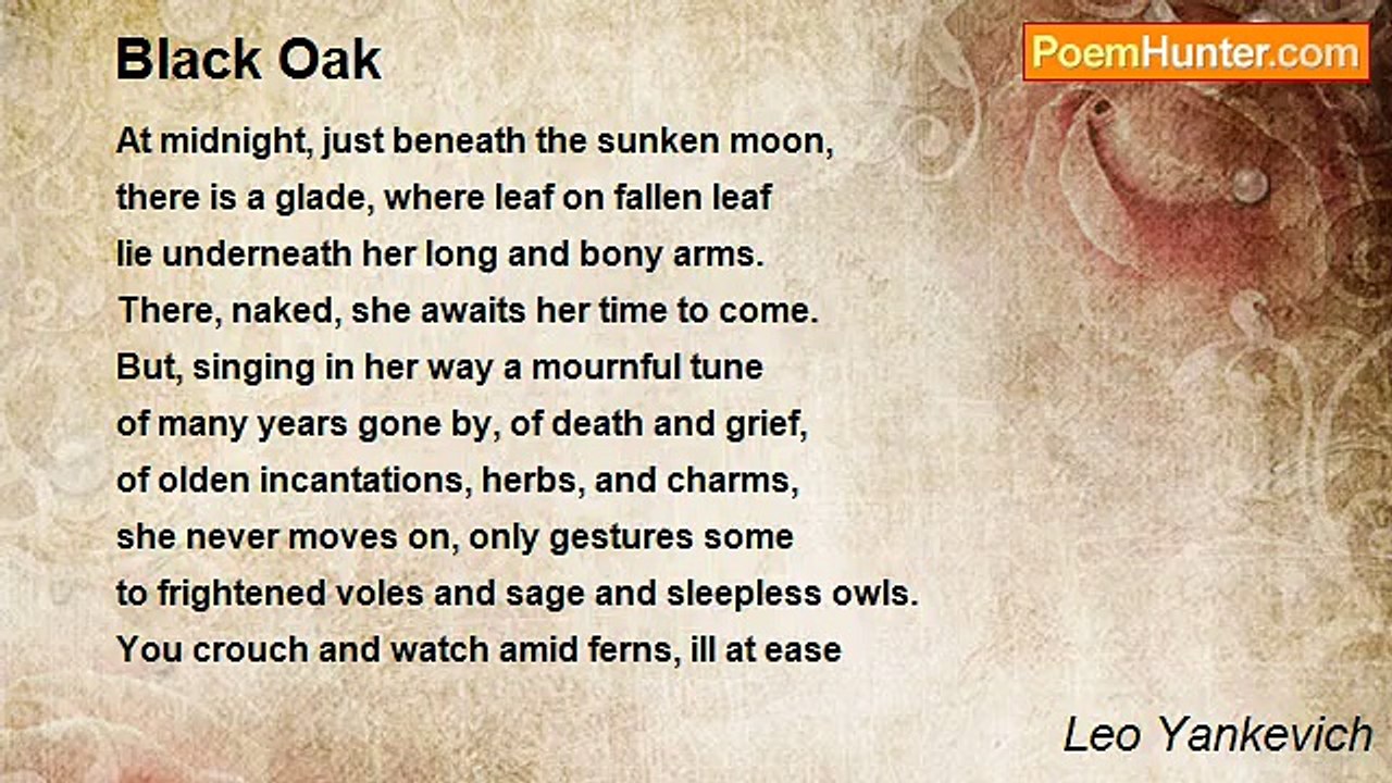 Leo Yankevich - Black Oak